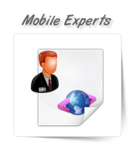 Mobile Programming Experts